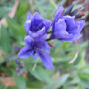 Meet your Posher, Erika